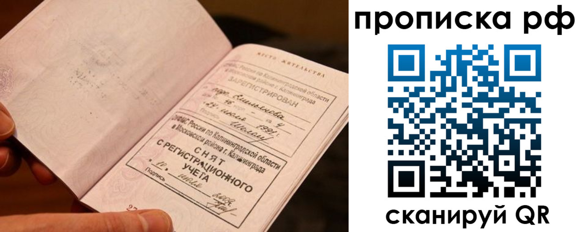прописка гарантия в Александрове